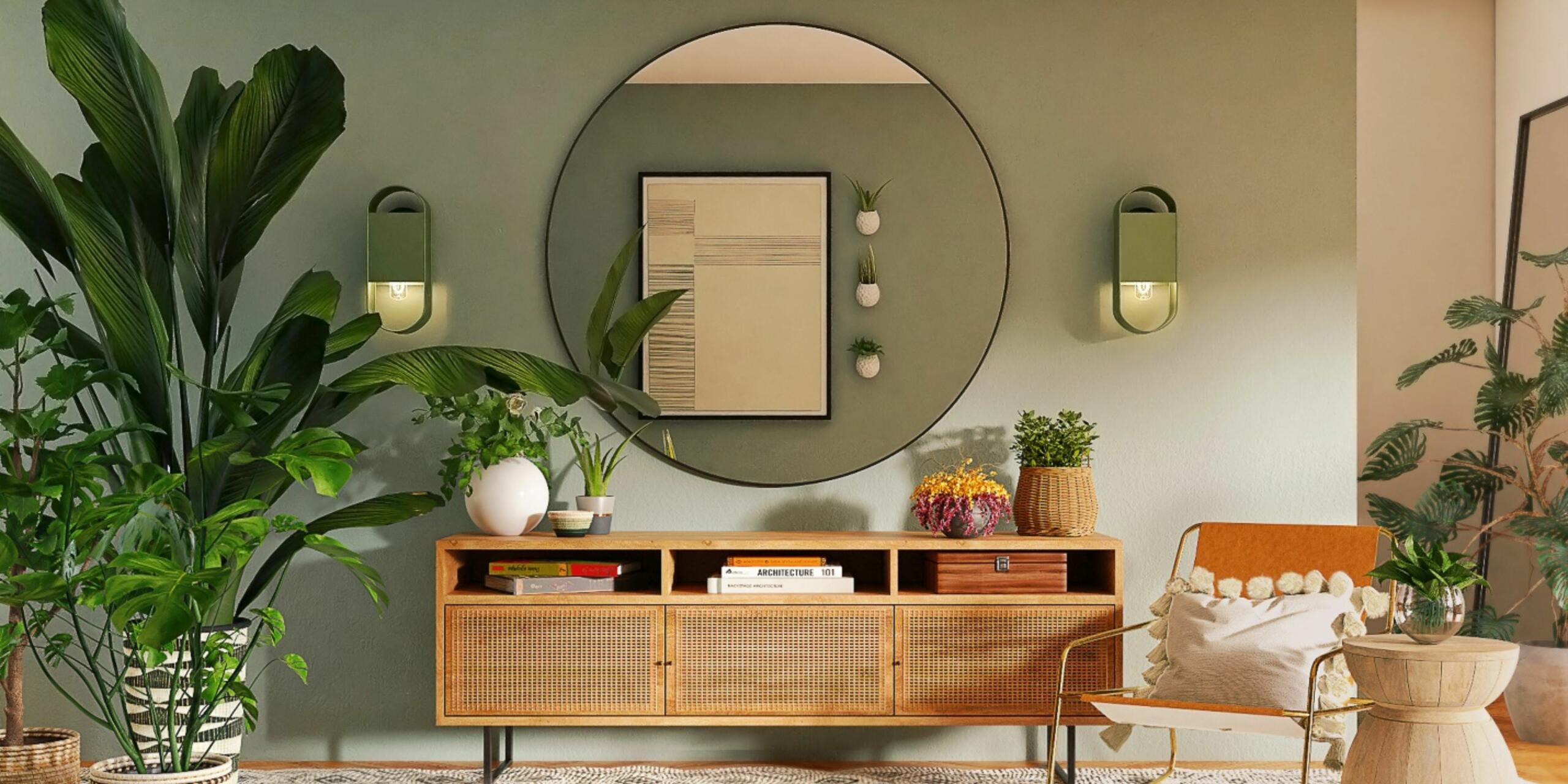5 Best Air Purifying Plants To Buy In The Winters