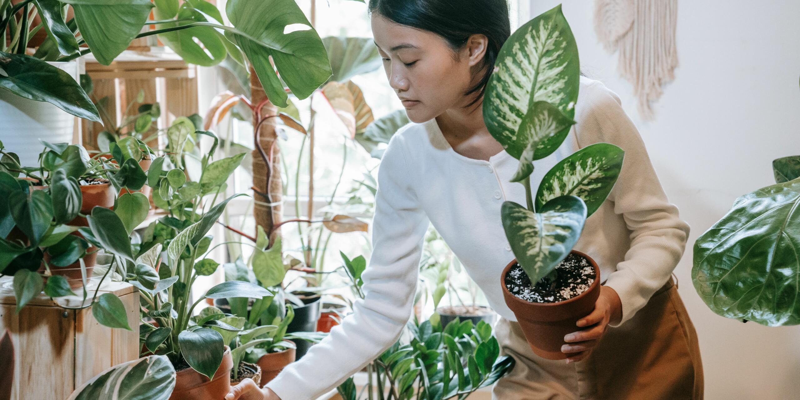 5 Gardening Influencers To Follow In September