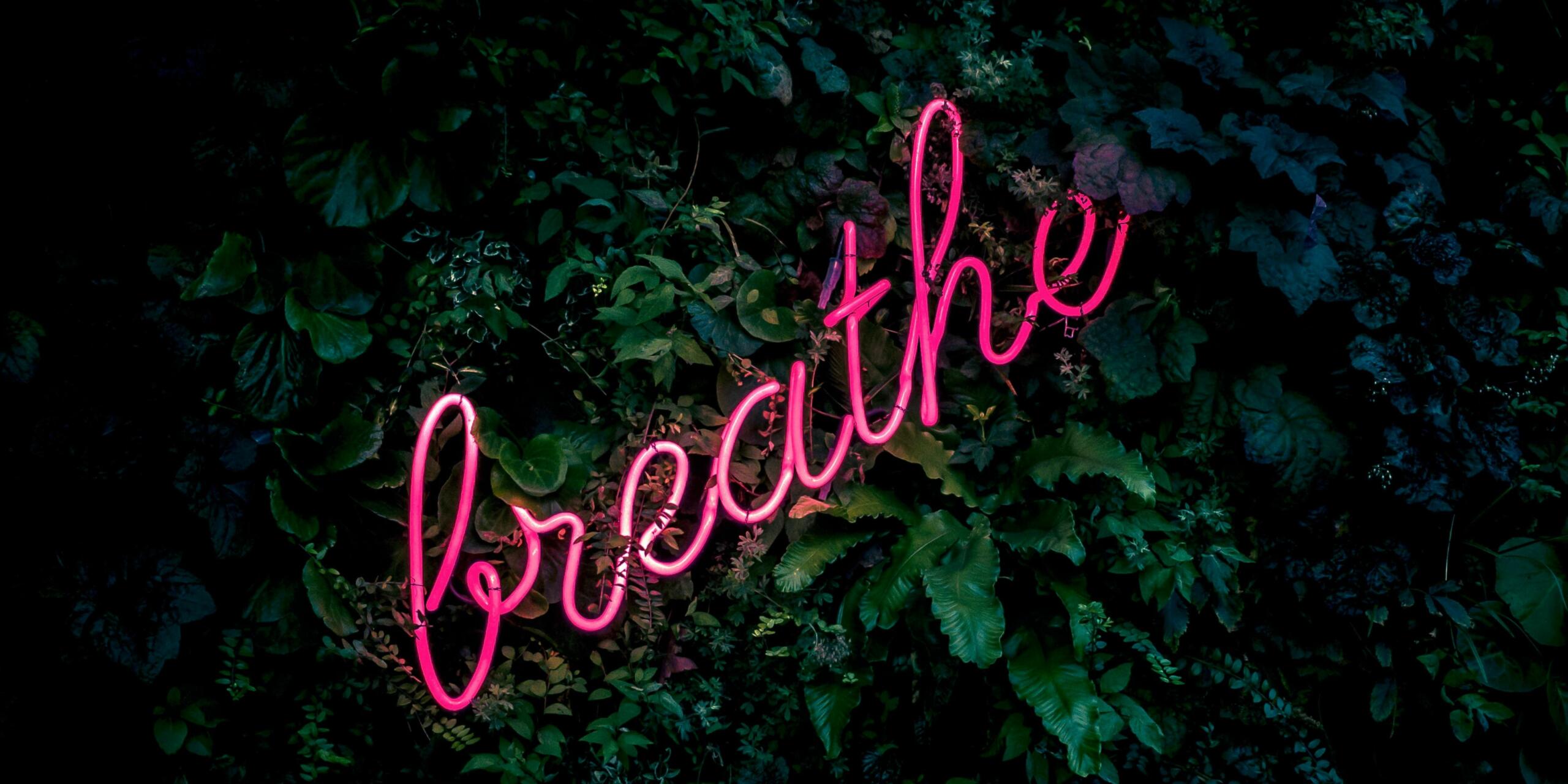 Plants That Produce Oxygen 24 Hours
