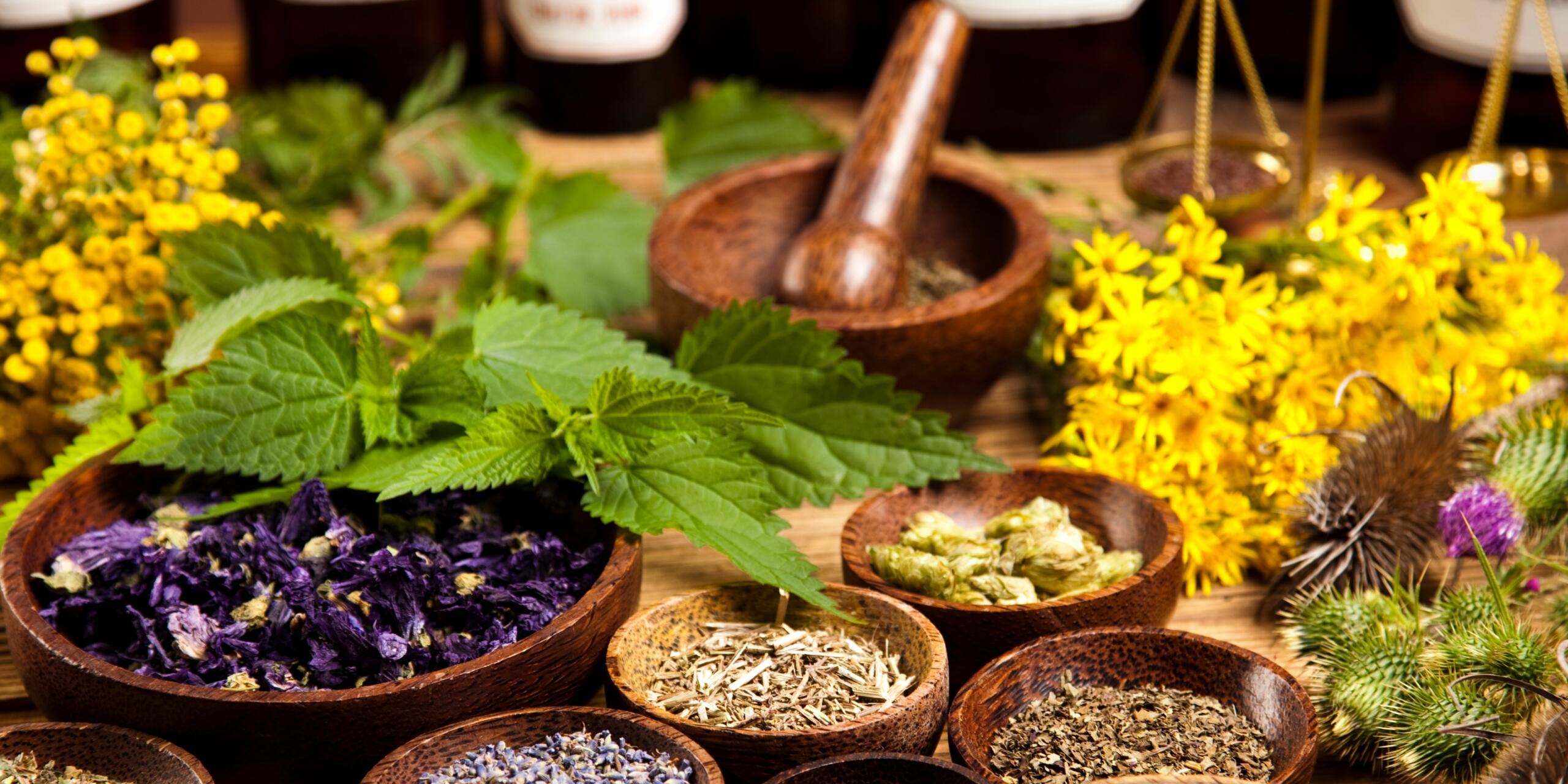 10 Herbs Perfect For Vertical Gardens