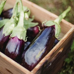 This is an image of several long purple Brinjals stacked in a wooden box.