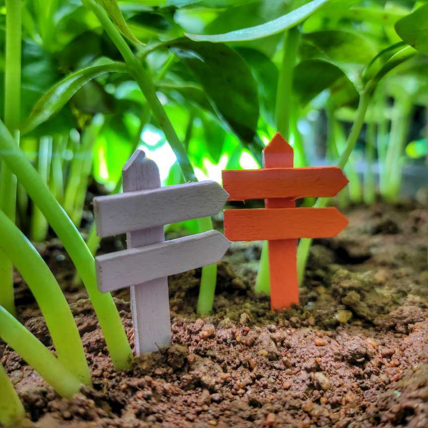 A cute colorful pair of Miniature Wooden Post on a soil with some herbs in the background.