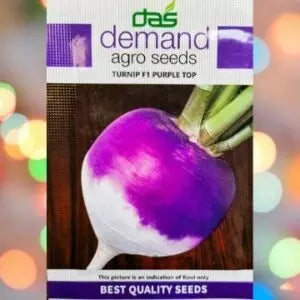 This is an image of a packet of Demand Agro Turnip F1 Purple Top Seeds kept against a colorful light background.