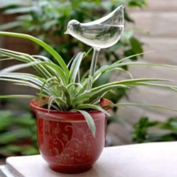 This is an image of Self Watering Bird placed on a red color pot containing a plant against a blur background.