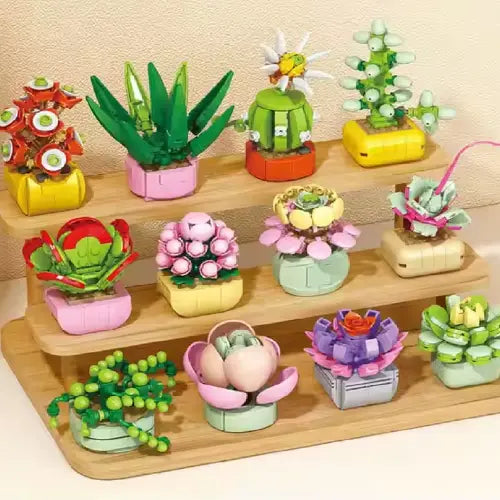 Astrophytum Asterias Building Block Toy Plant(1pc)