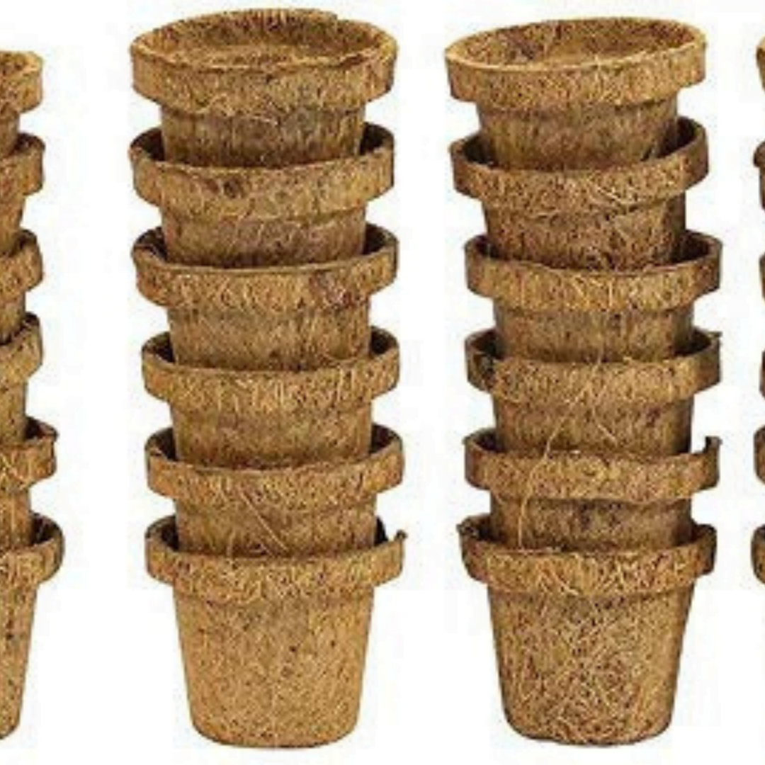 Coir Pots (2 inch)