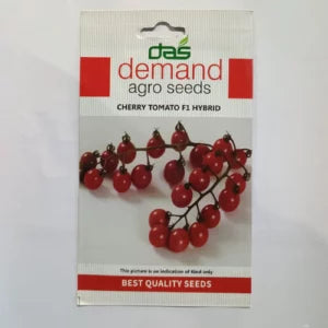Cherry Tomato