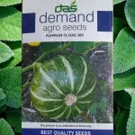 Demand Agro Pumpkin F1 Das Seeds