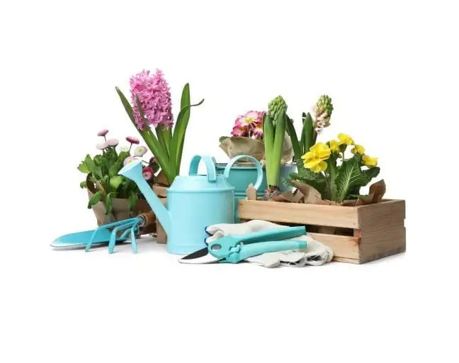 Gardening Kits