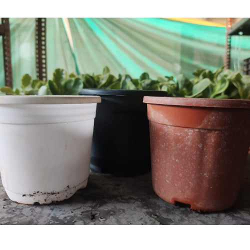 Pre-Loved (Old) Gardening Pot 4-inch(1pc)