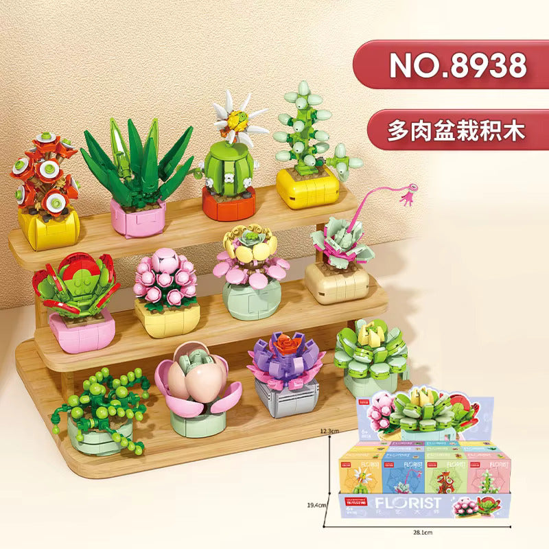 Multiple plants building blocks on display