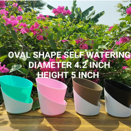 Oval Self Watering Pots(1Pc)