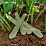Plant Tag Ice Cream Sticks (5 Sticks)