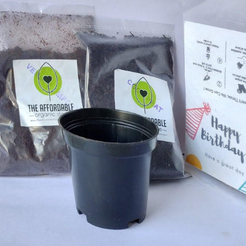 Plantable Seed card gift pack (1Pack)