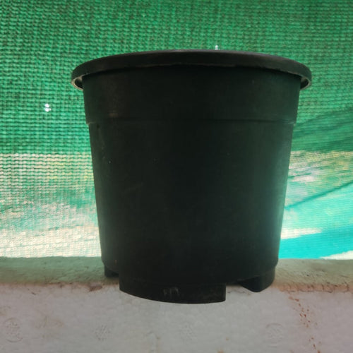 Pre-Loved (Old) Gardening Pot 4-inch(1pc)