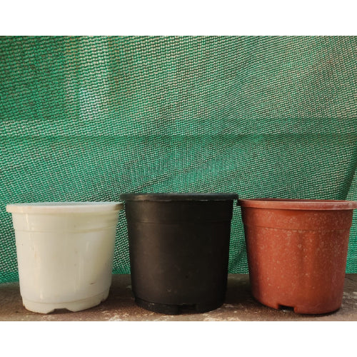 Pre-Loved (Old) Gardening Pot 4-inch