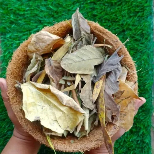 Dried Leaves for Compost and Mulch (30 gms)