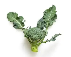 Vegetable Seeds