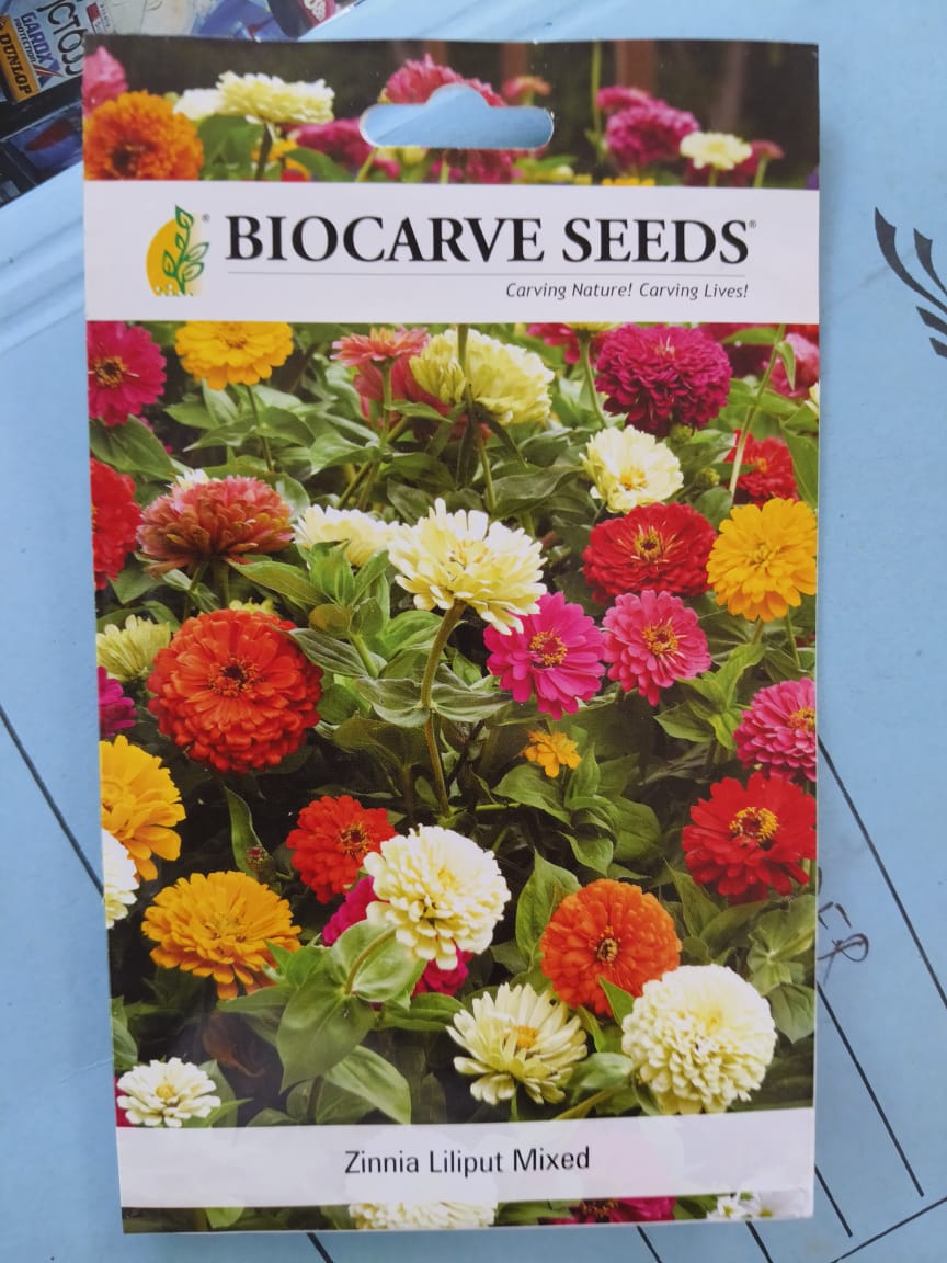 A packetof Biocarve Zinnia Liliput Mixed Seeds