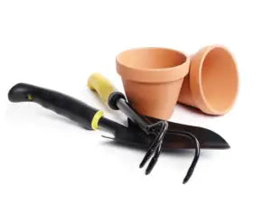 Gardening Essentials'