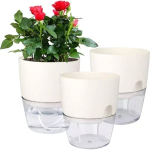 Image of Multiple self watering pots